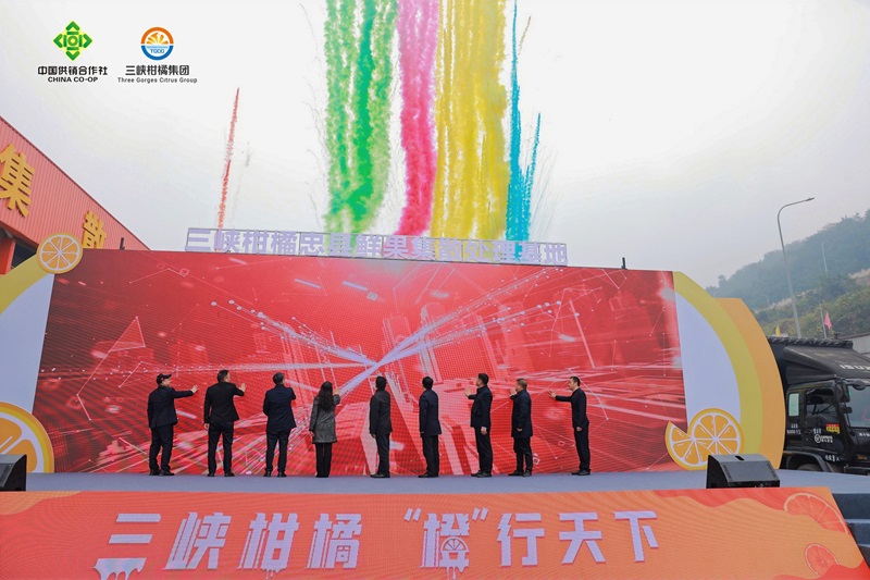 1703759307179484.jpg opq689287601.jpg