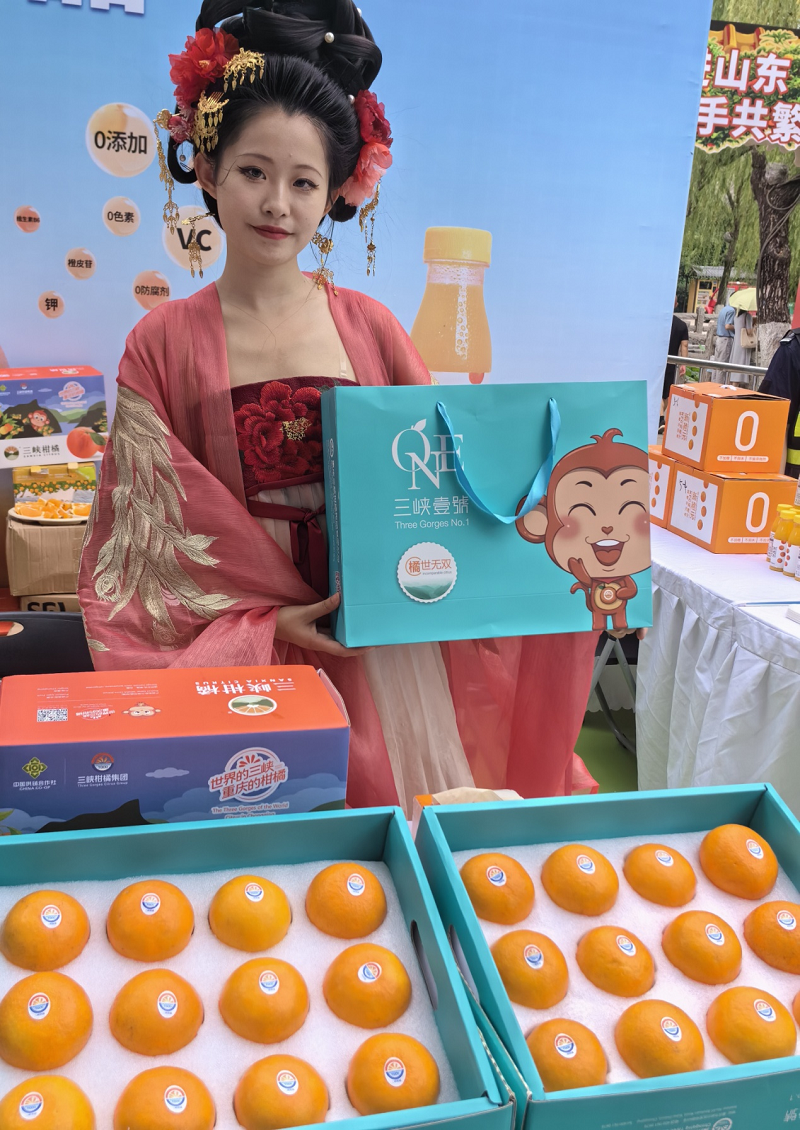 1719303669820012.png 圖片11.png