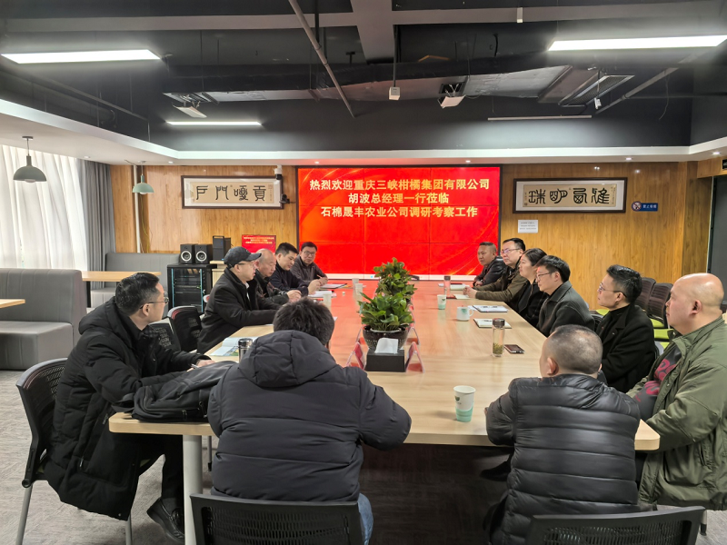 1741851625945301.png 圖片13.png